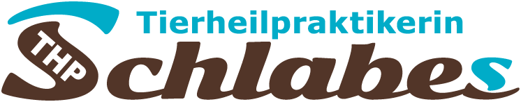 thp-Schlabes-Logo